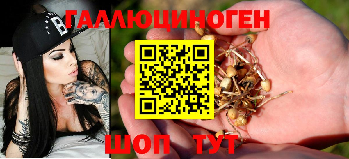 Родники  Галлюциногенные грибы Cubensis  Вход с VPN 