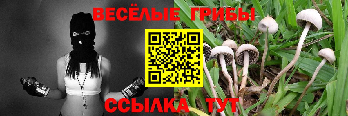 Галлюциногенные грибы MAGIC MUSHROOMS Родники